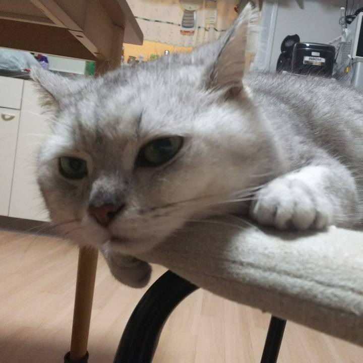 8bc29fc7 a022 4502 a79f 11ee4567913e 1525622242489