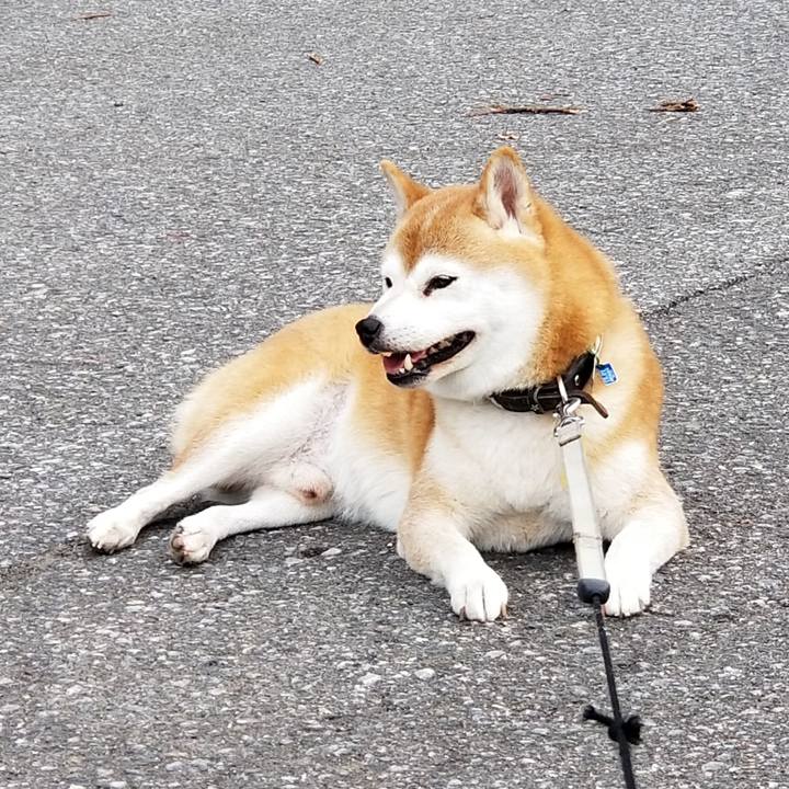 8bc2e9fb 24d4 4fe3 b55e 925d4f3d9769 1631430960467