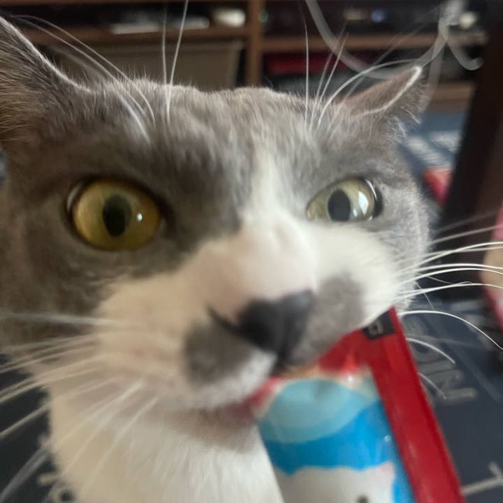 8bc3794a 89d2 449a 8715 8cec87f75736 1698564199226