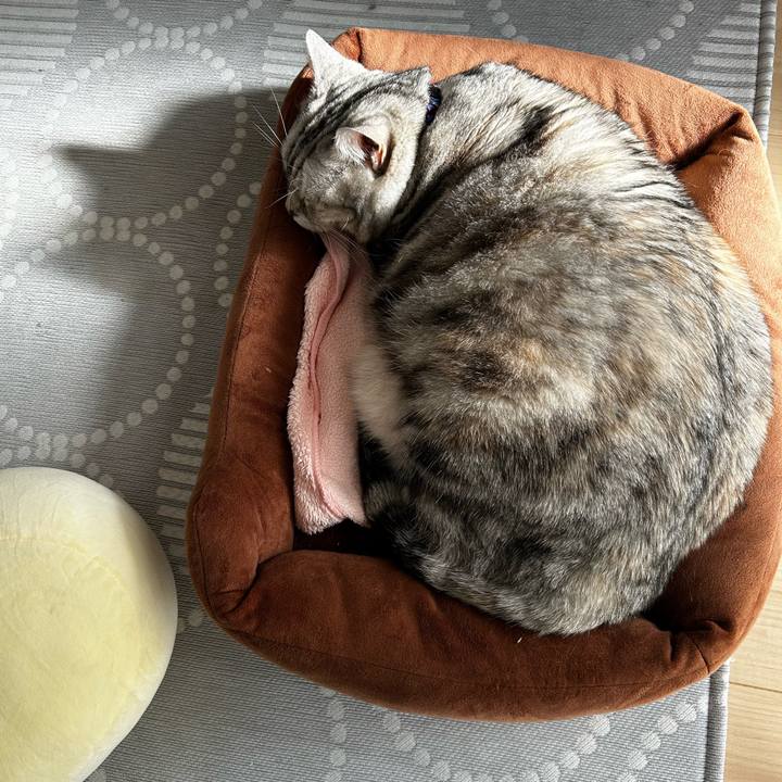 8bc3a67b 0f73 4250 b981 7790936327f8 1765765089476