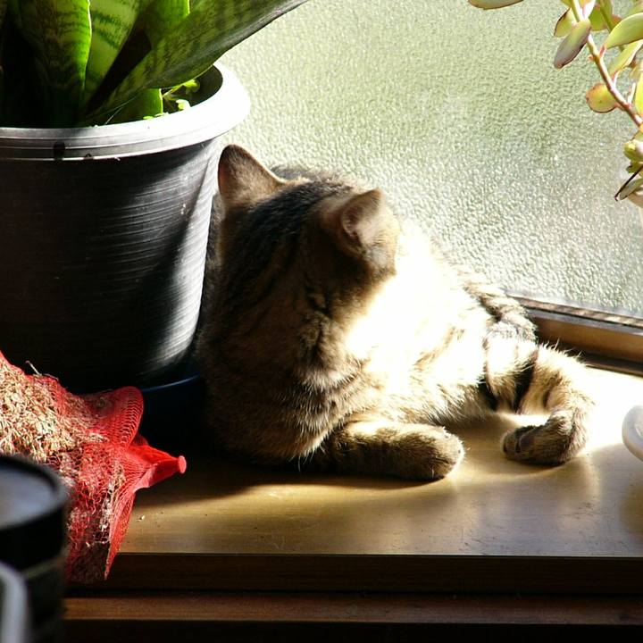 8bc3bd2e 3753 4278 b1b3 af8a94c81a1c 1561772046486