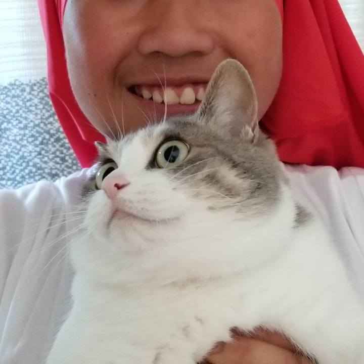 8bc3bda1 7a39 462b 8c55 9ee2ece2c112 1558430100196