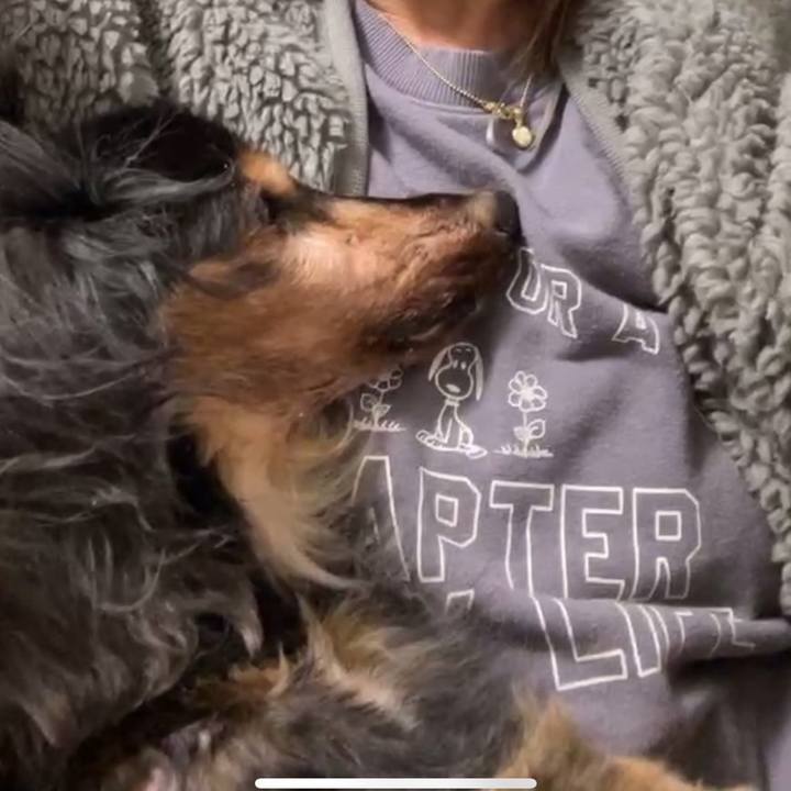 8bc3c2c8 3867 4806 b47c 565359190afb 1763212898509