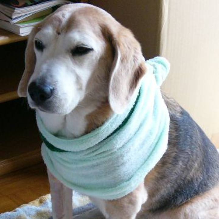 8bc3d169 f760 4d4b 9752 a6739c1f7375 1681779717089