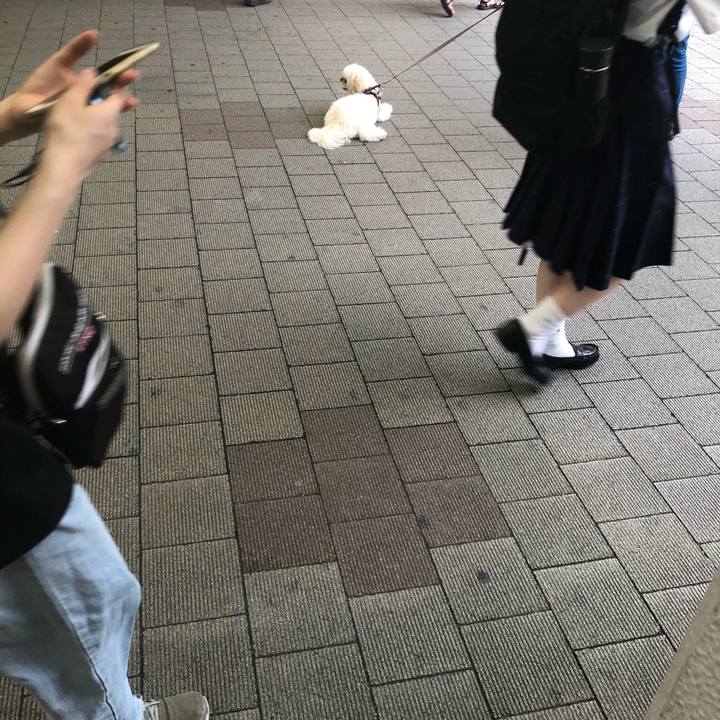 8bc3f01c cbe3 46dd 919e bf4afe9dc508 1594775261383