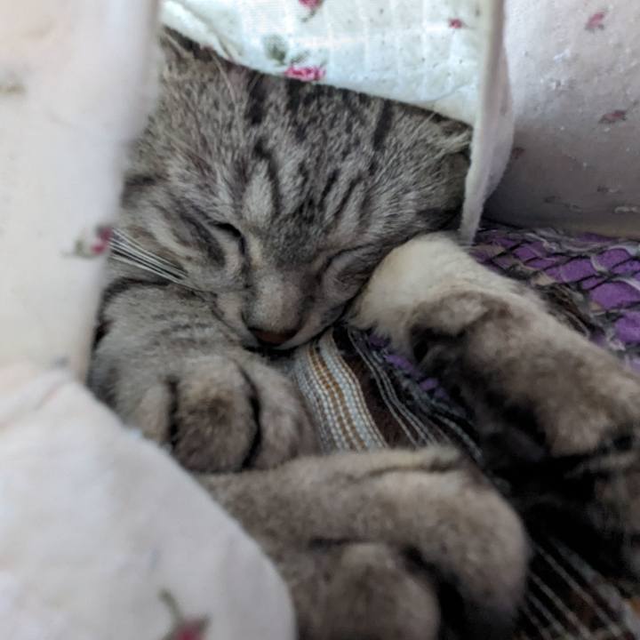 8bc42586 d7f3 423e 8c2a cf2a092421b2 1706936836781