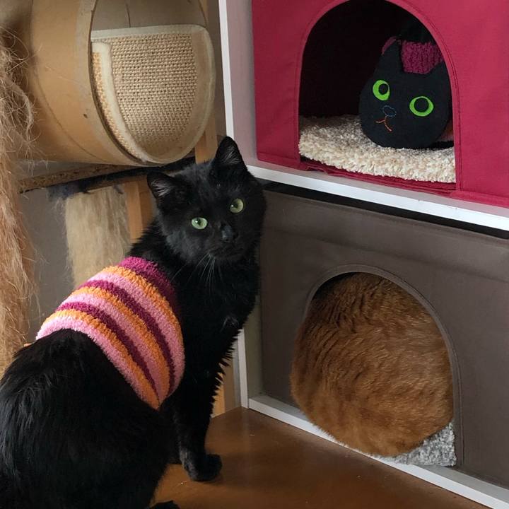 8bc44cc7 e29c 49ae b88c d82259327a9b 1588567878894