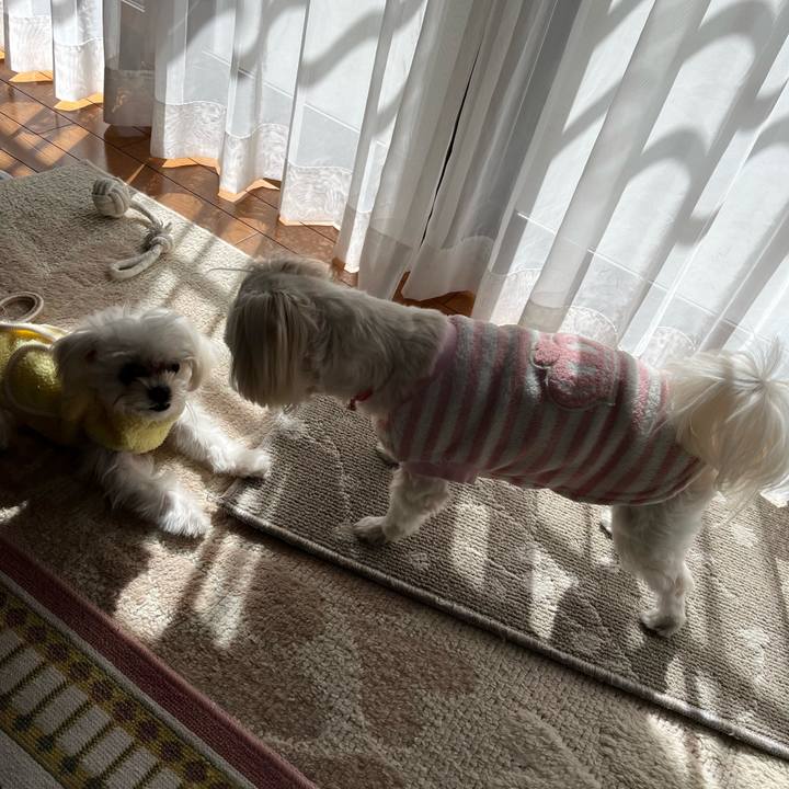 8bc45c52 dbc6 4fa9 aba3 382edcbeb549 1709120500500