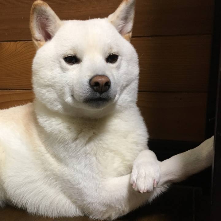 8bc45fa0 037e 4954 a63e 8a4af32ff989 1554701278320