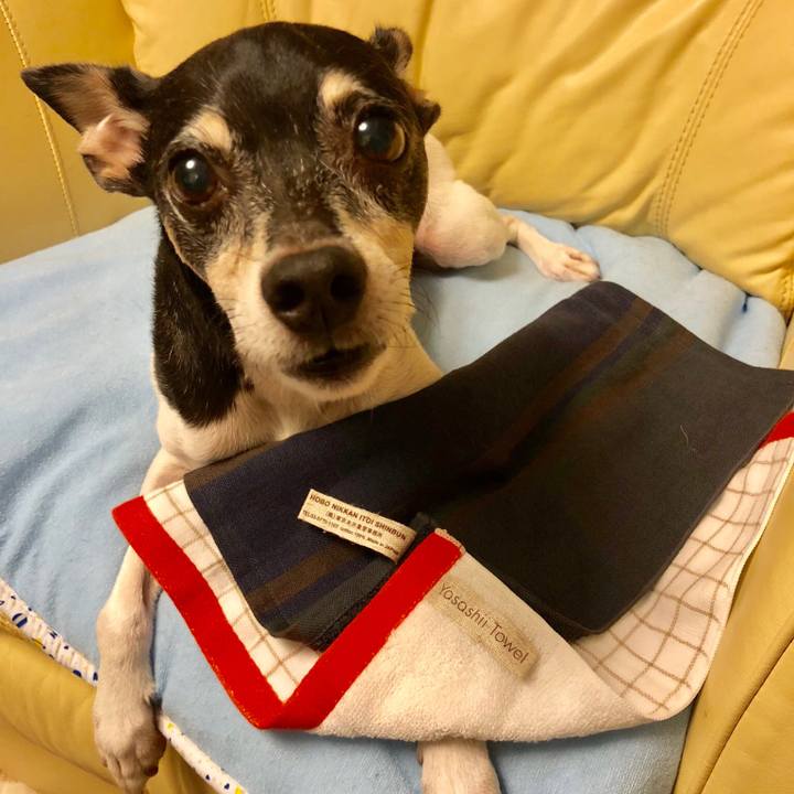 8bc4623d 5670 4eb2 a189 e9395acb87aa 1537613457597