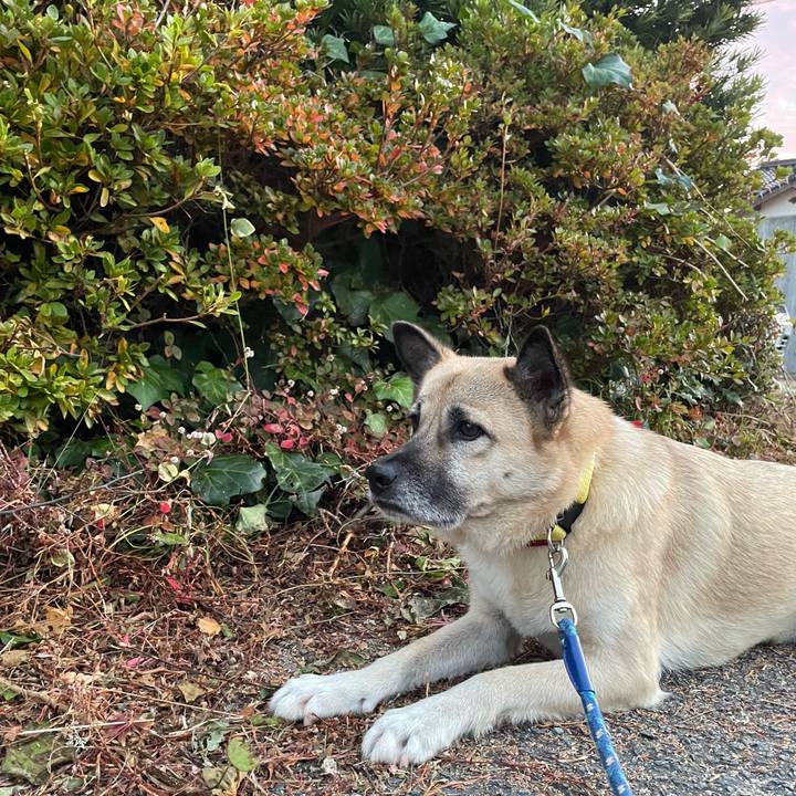 8bc4b5a1 168f 4452 9025 eba8b78ccc5c 1639657413417