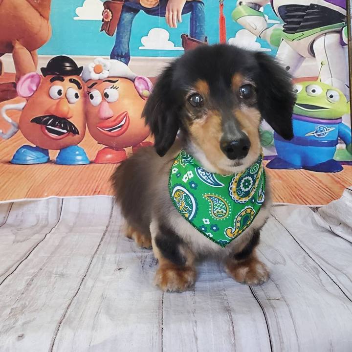 8bc4e081 bc61 461d a531 9b6b90df0dab 1684924198390