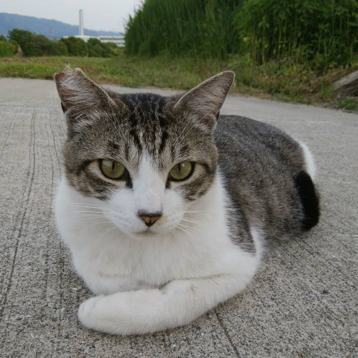 8bc4e0be e2e6 4c43 928b 5dbf61cb0a8a 1525165668225