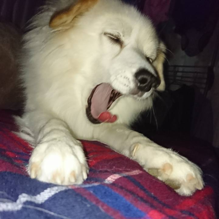 8bc54ebc c574 42aa 8917 080e6399a439 1508703578877