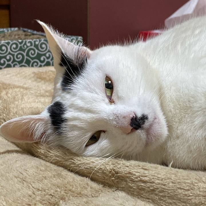 8bc58973 14eb 41bd a49c 191d916fb047 1576498056503