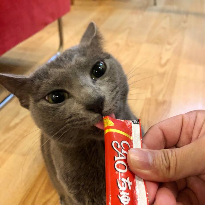 8bc5ce79 57f7 42eb bee4 dd082d87725b 1581901015655