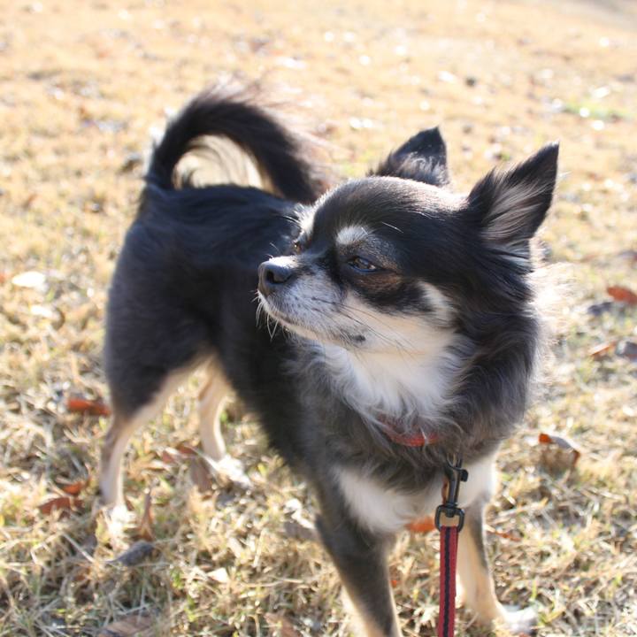 8bc5d605 f3d3 4b7e 8ad0 2ade240c8e79 1540255460777