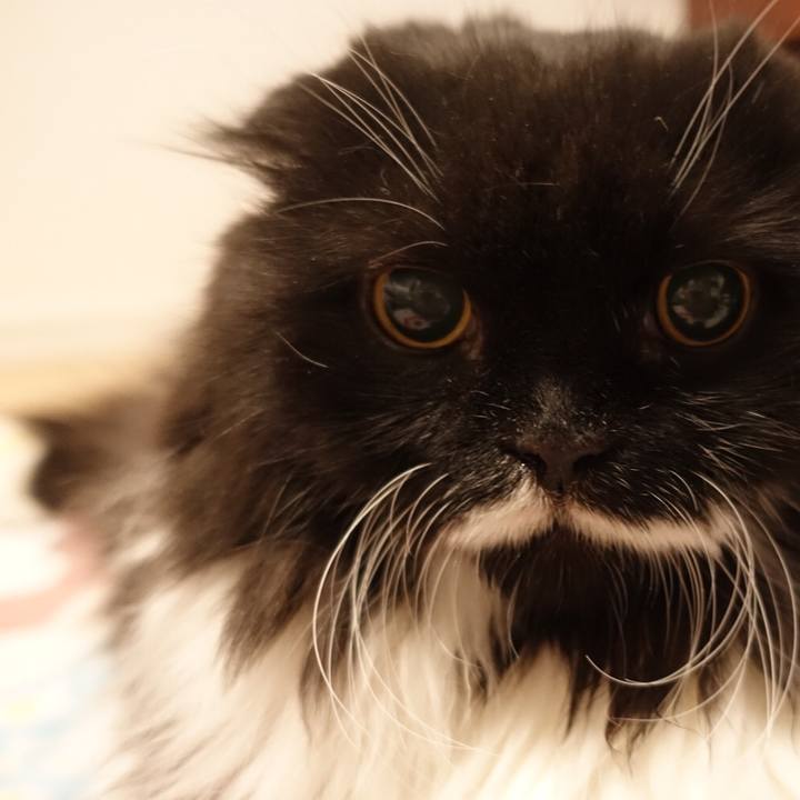 8bc5e9e4 a31a 41c5 b9c4 01526297a584 1534333900274