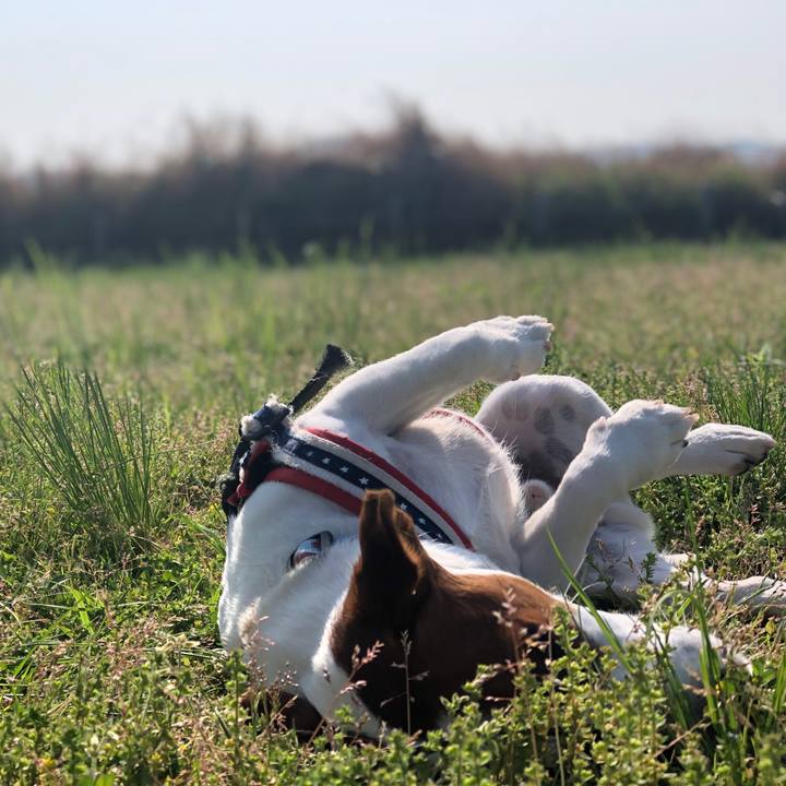 8bc5ea17 3022 4557 8da8 c60b3ad5018a 1556787510871