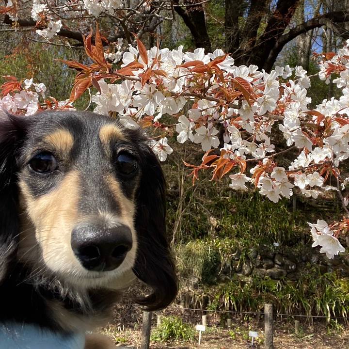 8bc5eba6 7513 4912 8461 1408945f2593 1743942450939