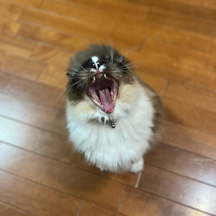 8bc62e9f 3ba2 4ac8 a56f 463168cb0f22 1655040646816