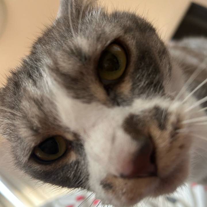 8bc64db2 6e8a 4e19 95af fc7212efa8f5 1774651514766