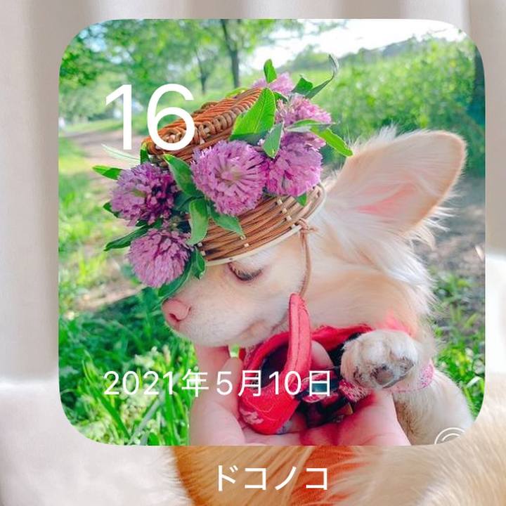 8bc691c1 5255 43df a49f e762e2fb0b82 1747397571259