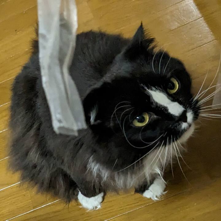 8bc6d729 aa66 4ba1 b355 13523b6d8561 1671961556682