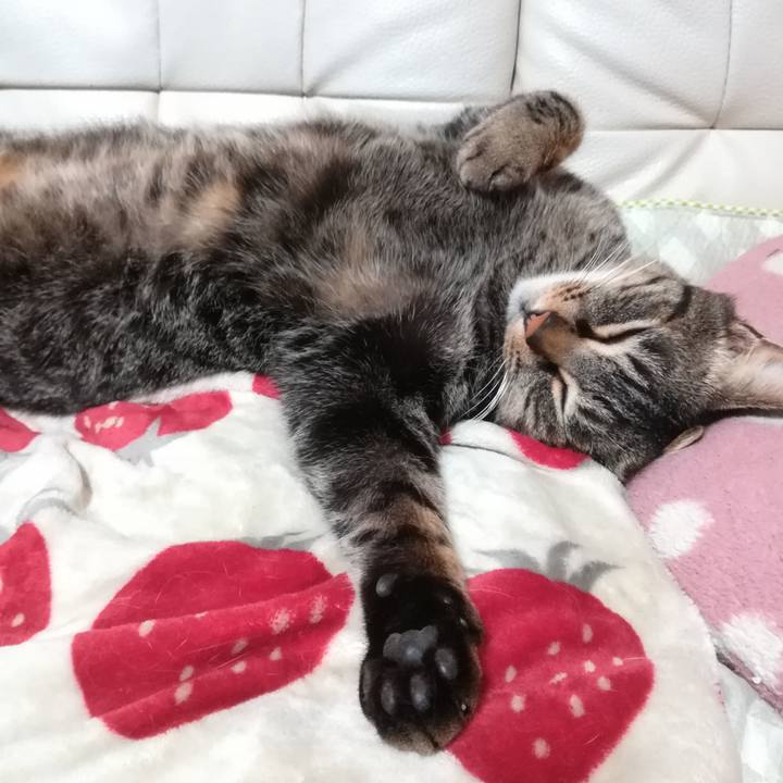 8bc6e3d7 e906 4ff9 b85a 6f72444b5ef2 1581084988713