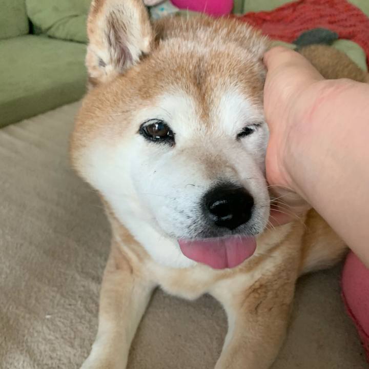 8bc6e3eb 3c3f 4536 b55d 0f3bfc874a1f 1590903573886