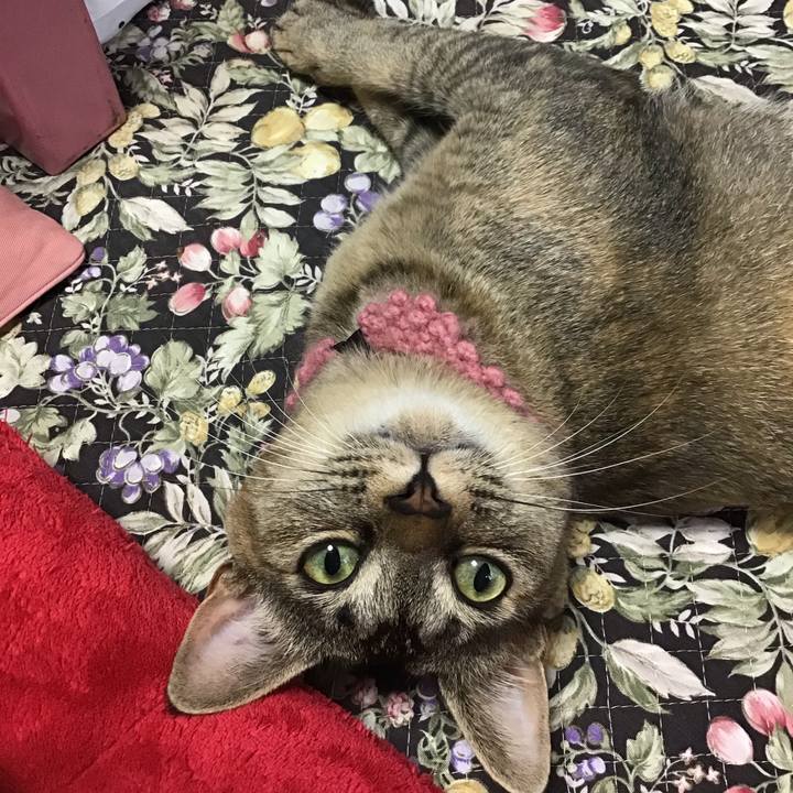 8bc6ead4 2825 4eac a071 420858d18c2d 1593848378340