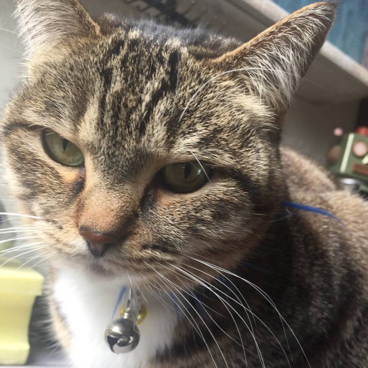 8bc71d18 364f 4948 a978 cb5939ca2344 1549508322317