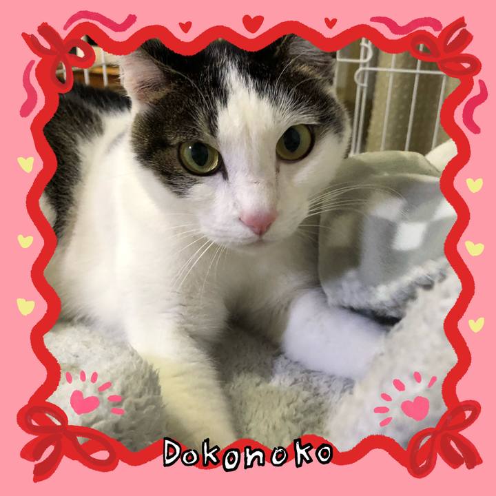 8bc74a31 ef78 4ada a2df b38770ac276a 1707136357558