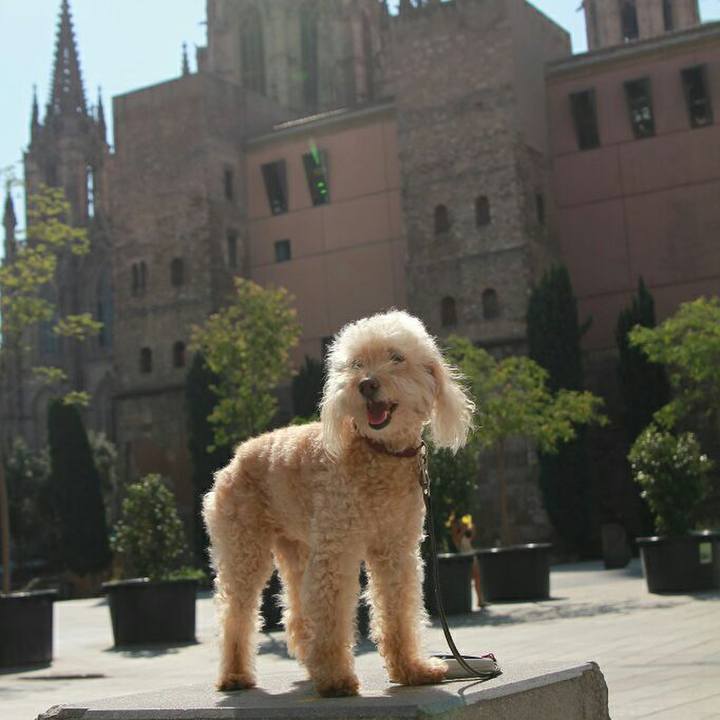 8bc78275 2ce3 4d35 a8b8 adcd03458ea6 1594295802391