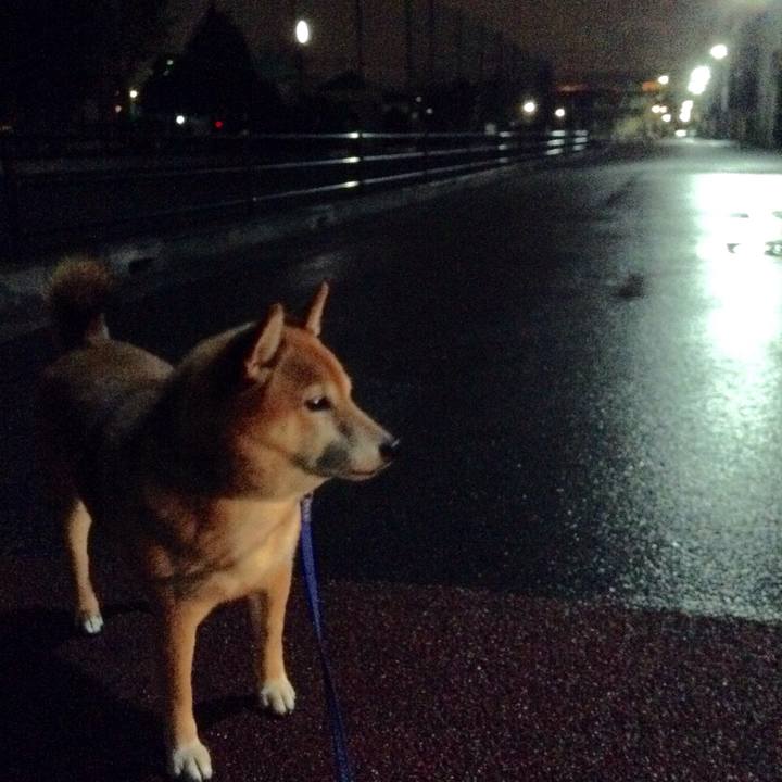 8bc78516 9780 4a7e b5e1 537ff2dfd46b 1544519046199