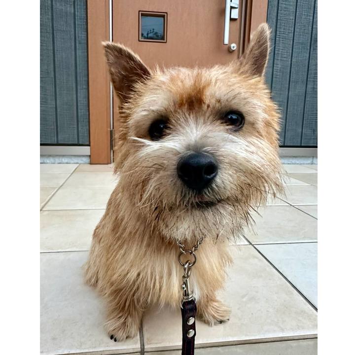 8bc78a4a 3fd5 4f2c bfbb 8ebeb0411ef8 1736214218035