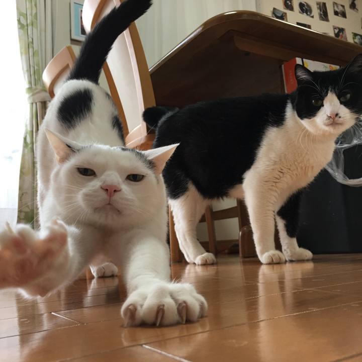 8bc7956a 90f8 4d72 89d8 75d2dfe8fa71 1553865426035