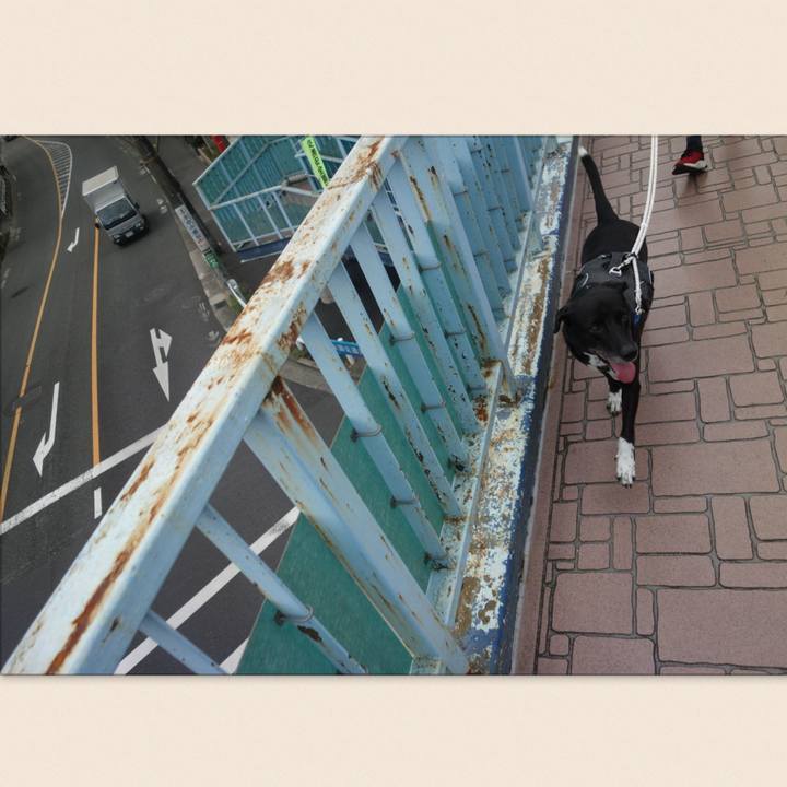 8bc7b762 7ccd 48dc bfe3 7780384e0f05 1664411074113