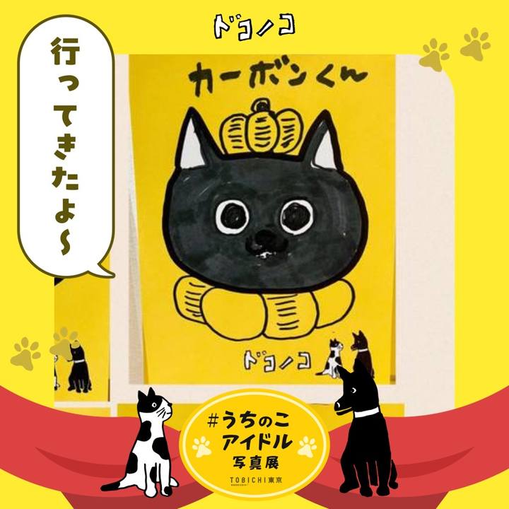 8bc7c549 cc22 4451 bdbe 4e241aaf26f9 1762047621521