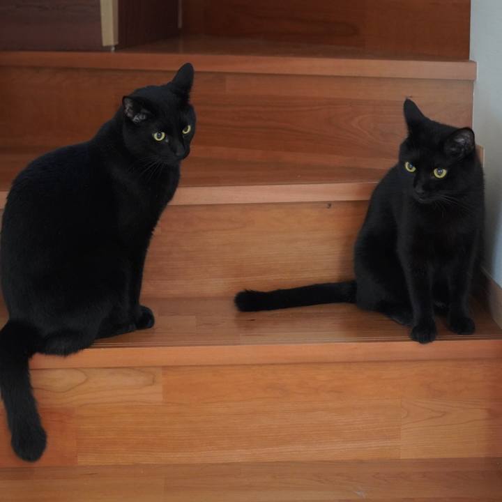 8bc803dc 9560 488c b0ec 8d001c5c0df8 1629762251955