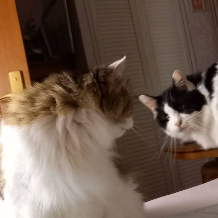 8bc81d62 d7a6 4e58 aef3 ea57d5c0a730 1634414599938