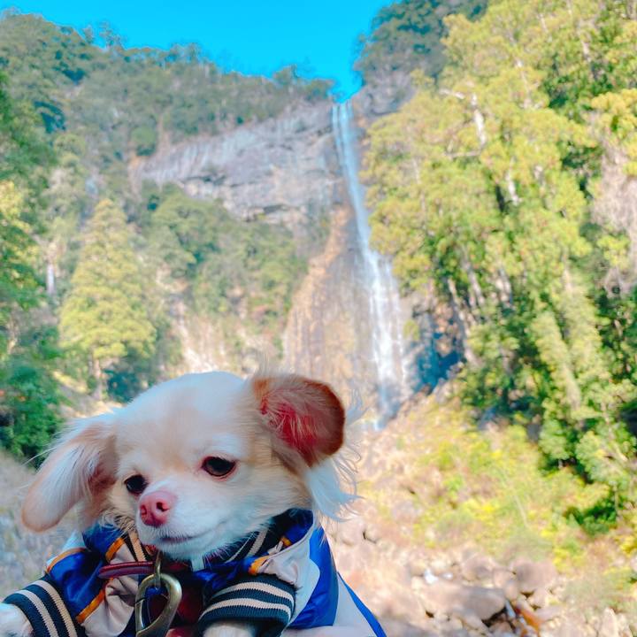 8bc82f1a d97e 42d0 aa21 e919bb216978 1641272292902