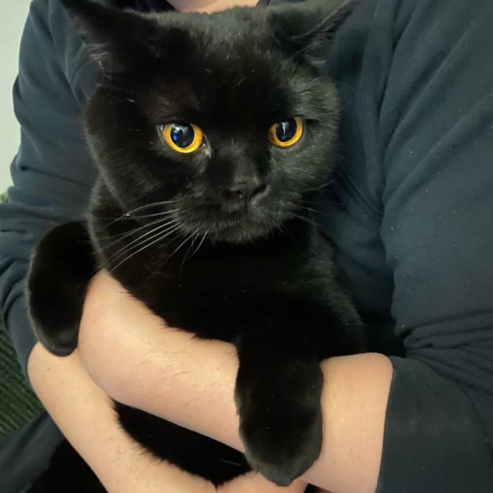 8bc847d5 6763 4c1e 842d 067d3fda9904 1649506816279