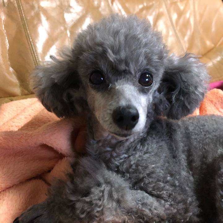 8bc854b9 bfe1 49ef a022 48cf42e715dc 1613034832316