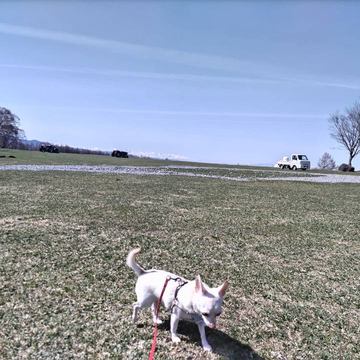 8bc89f45 c676 493c 8269 1c84466cafa7 1745878155222