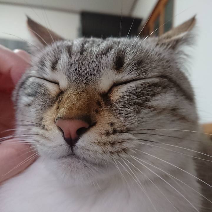 8bc8b70a 03b0 4c0d b6c5 249b0211c37d 1585925364599