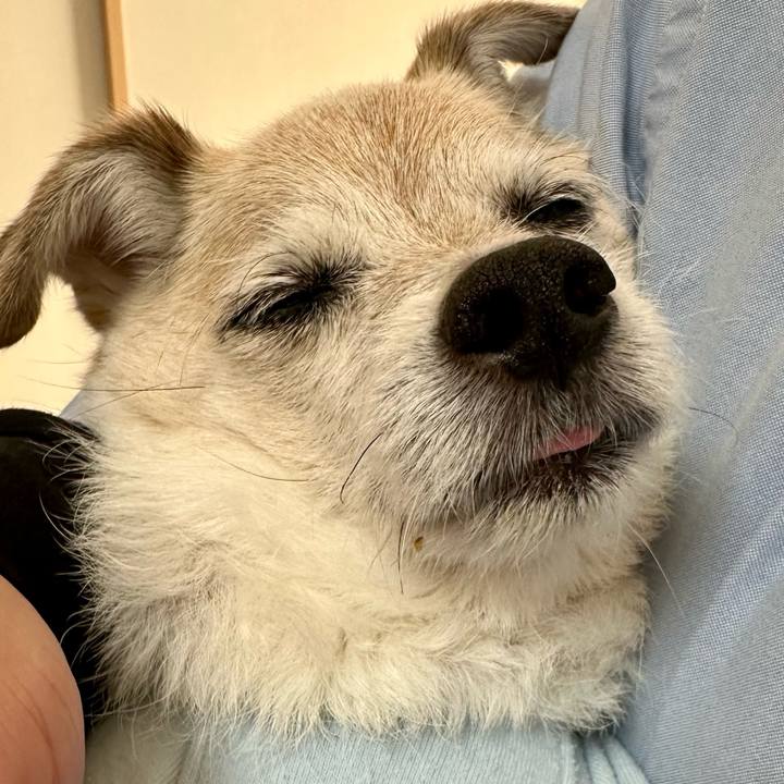 8bc8c7cb a876 4d8b 95b9 667f386244e8 1766487620621