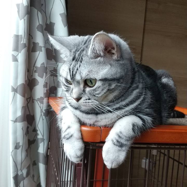 8bc8fc59 0916 40a1 bfe5 3eff1c682039 1619041966846