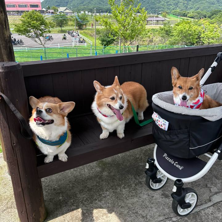 8bc8ff0b b5e2 4f7e 94b8 6152d5cec346 1751173098459