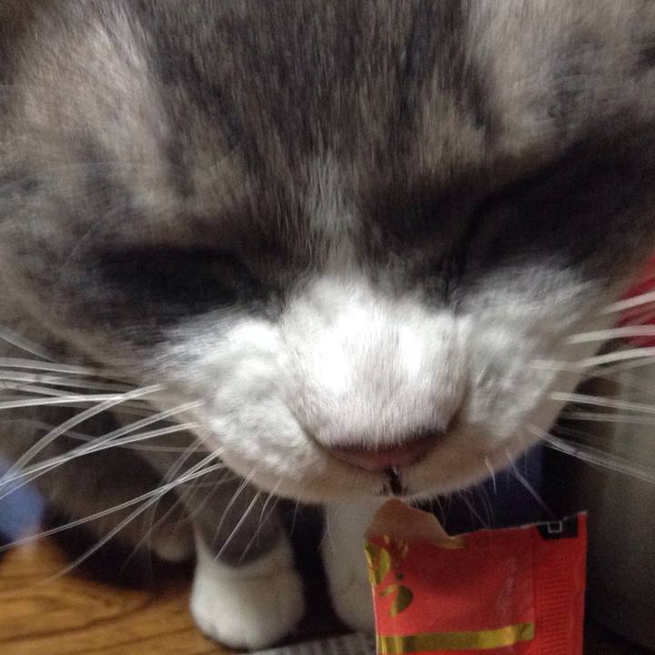 8bc901b4 3c0c 4f35 8a42 cb10fbd8b02b 1512859325825